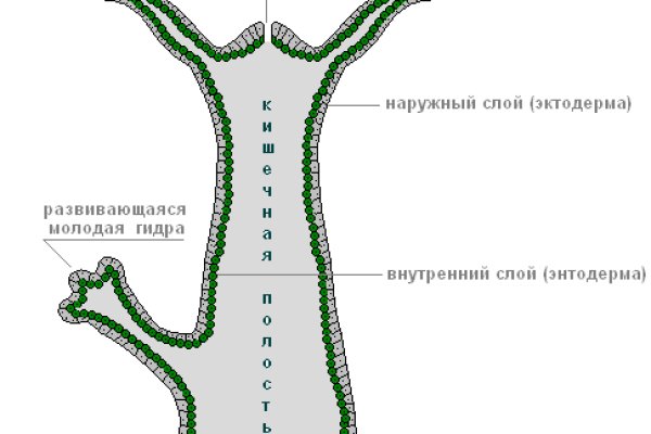 Новый адрес кракен