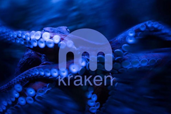 Kraken shop