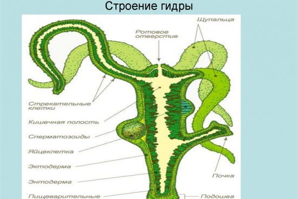 Маркет плейс кракен маркетплейс